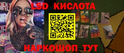 PSILOCYBIN Краснодар