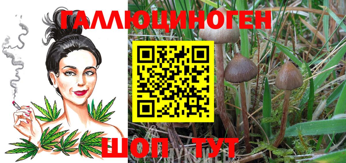 Галлюциногенные грибы MAGIC MUSHROOMS  Вход с VPN  Балашов 