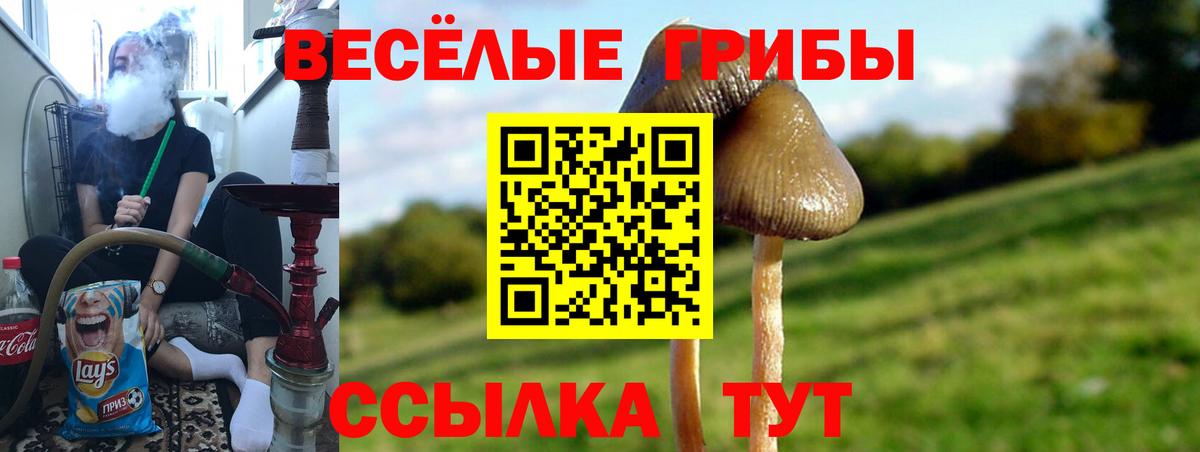 Галлюциногенные грибы прущие грибы Балашов